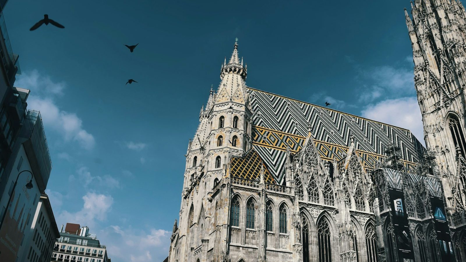 Stephansdom in Wenen met het kleurrijke dakpatroon tegen een blauwe lucht